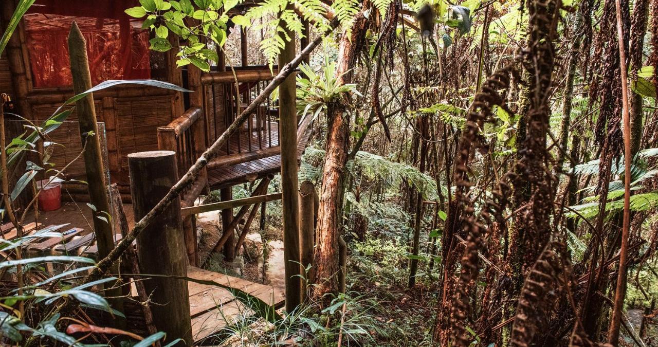 Hotel Guatape Adrianas Bambu Екстер'єр фото