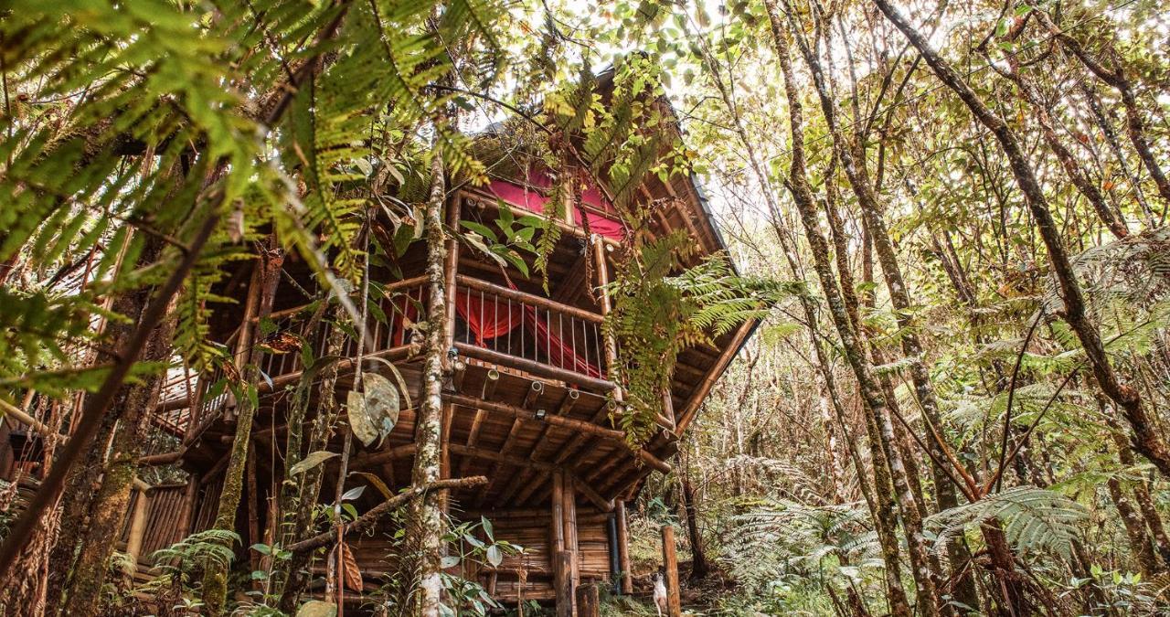 Hotel Guatape Adrianas Bambu Екстер'єр фото