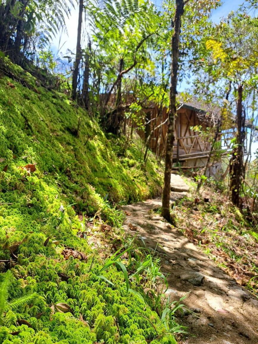 Hotel Guatape Adrianas Bambu Екстер'єр фото