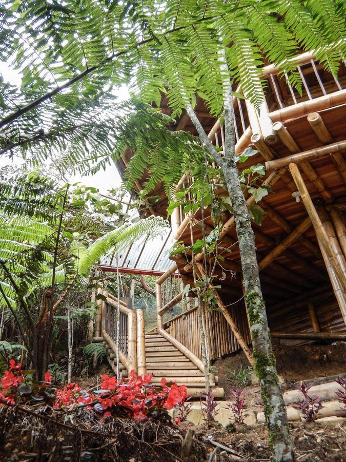 Hotel Guatape Adrianas Bambu Екстер'єр фото
