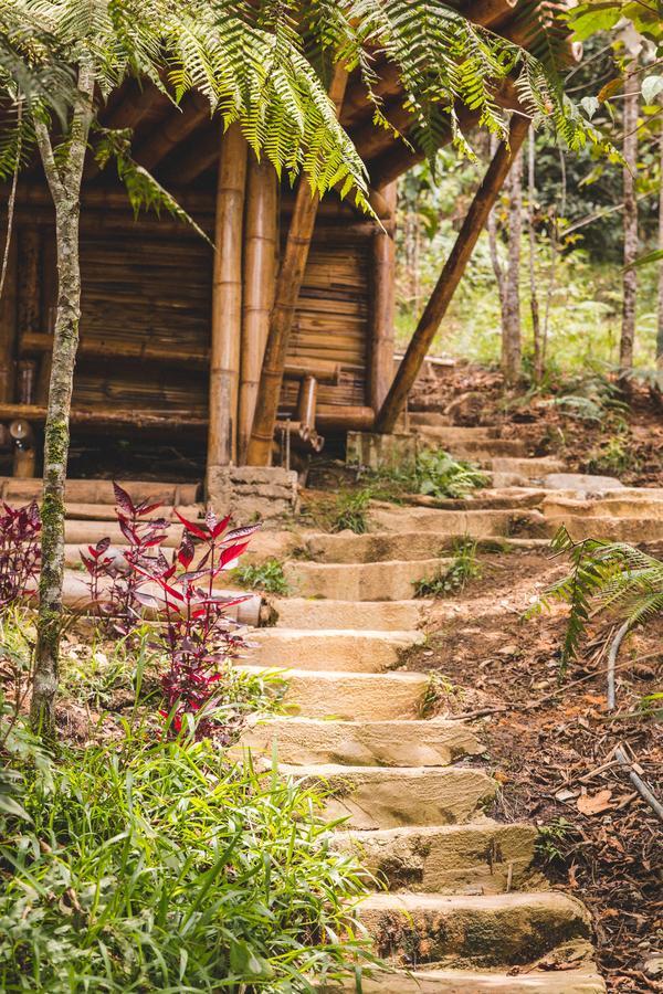 Hotel Guatape Adrianas Bambu Екстер'єр фото